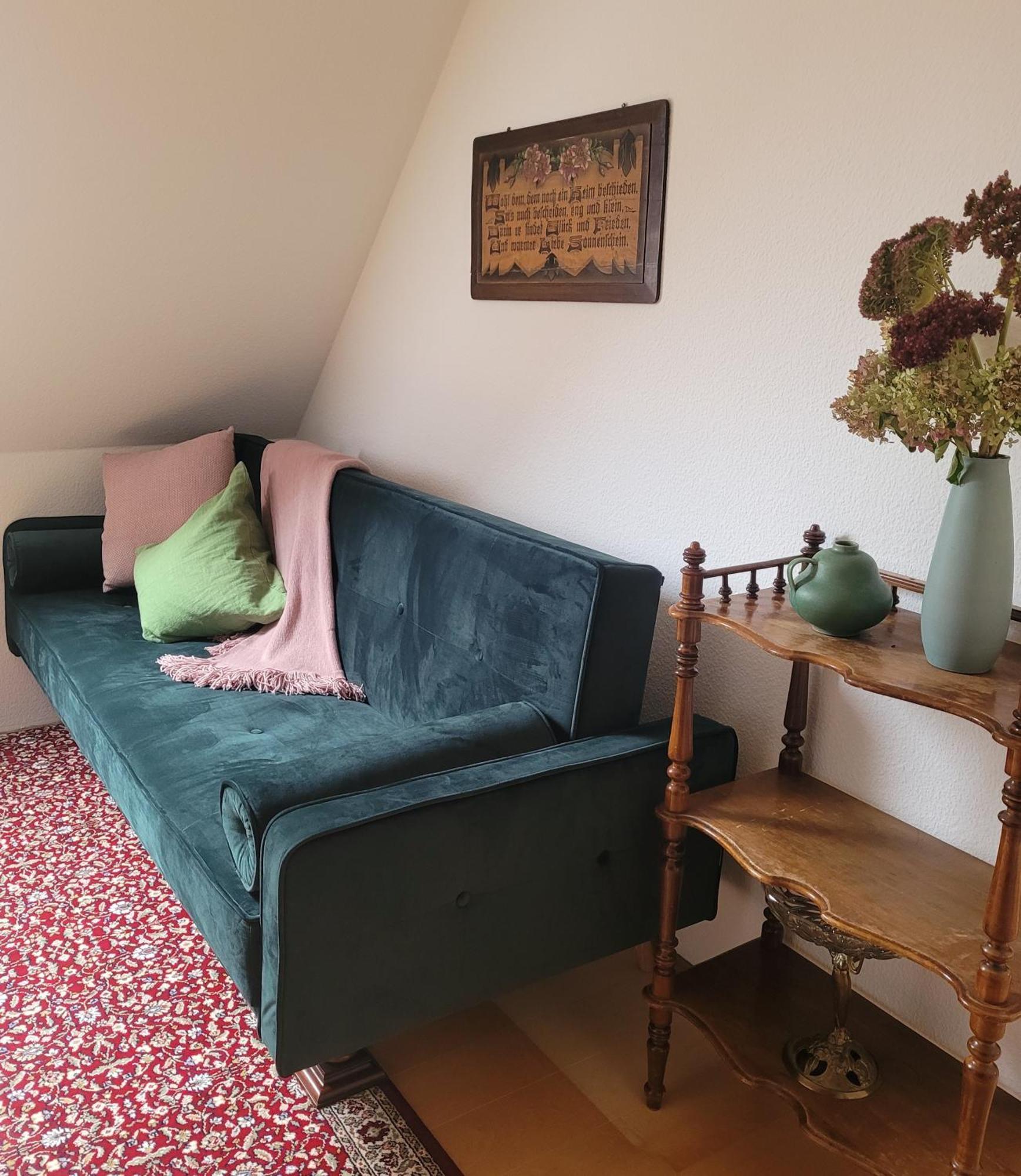 Fewo Weitblick In Hoehenlage Von Greiz Bagian luar foto