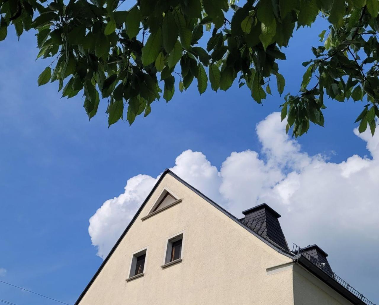 Fewo Weitblick In Hoehenlage Von Greiz Bagian luar foto